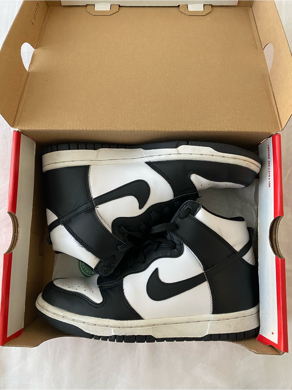 Nike Dunk